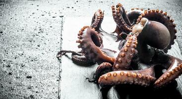 Fresh octopus on a stone Board. photo