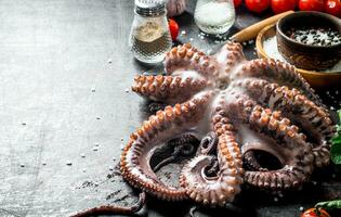 Fresh octopus with spices. photo