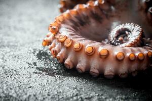 Fresh sea octopus. photo