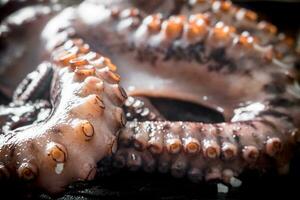 Freshly cooked octopus. photo