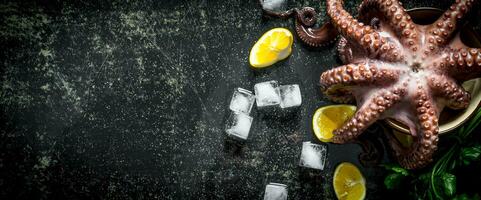 Fresh octopus with lemon, herbs and ice. photo