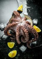 Octopus with pieces of ice and lemon. photo