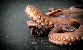 Freshly cooked octopus. photo