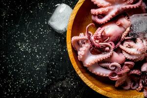 Fresh baby octopus with ice. photo