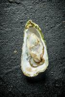 One opened fresh oyster. photo