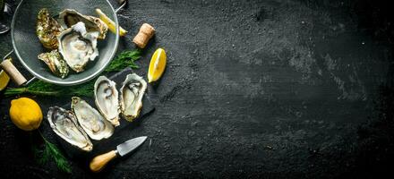 Delicious oysters in a colander and on a stone Board with lemon. photo