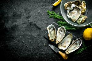 Fresh raw oysters on a stone Board and in a colander with lemon and dill. photo