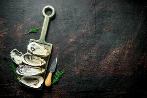 fruto de mar. crudo abrió ostras en un corte tablero. foto