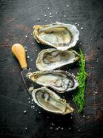 Fresh oysters with dill and a knife. photo