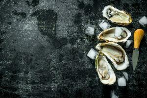 Seafood. Delicious oysters with ice and a knife. photo