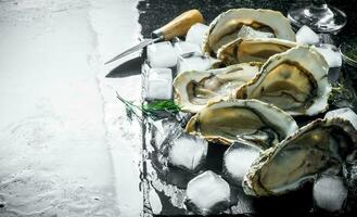 Delicious fresh oysters with a knife and pieces of ice. photo