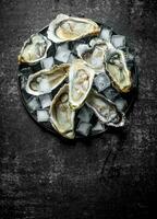 Fresh raw oysters with ice cubes on a plate. photo