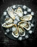 Raw oysters on a stone Board with ice pieces. photo