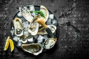 Fresh raw oysters on a plate with ice, knife and lemon slices. photo