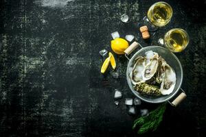 Opened oysters in a colander with white wine, lemon slices and ice cubes. photo