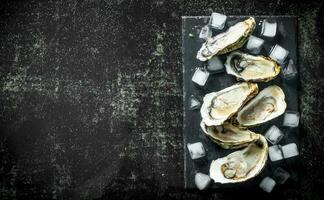 Seafood. Opened raw oysters on a stone Board with ice cubes. photo