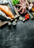 A variety of fresh fish, octopus and oysters. photo