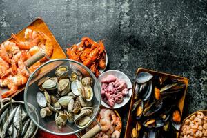 Oysters in a colander with shrimp, baby octopus and crayfish. photo