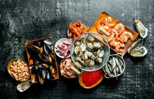 A variety of delicious seafood with caviar on the plate. photo