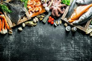 Fresh fish on tray with octopus, shrimp and crab. photo