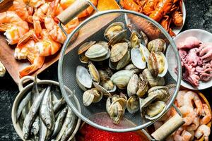 Oysters in a colander with shrimp, baby octopus and crayfish. photo