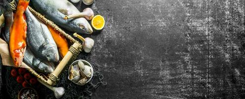 Various raw fish with oysters and garlic. photo