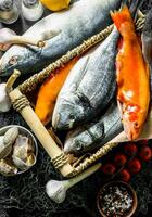 Various raw fish with oysters and garlic. photo