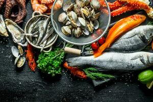 Variety of fresh seafood with herbs and lime. photo