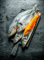 Fresh raw fish on a cutting Board. photo
