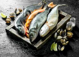 Raw fish on tray with oysters and lime slices. photo