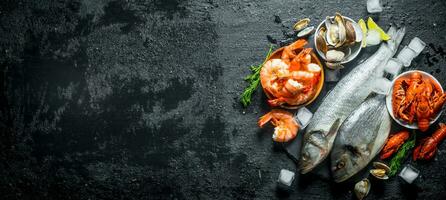 Raw fish and seafood on a stone Board with ice cubes and lime slices. photo