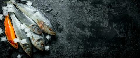 Fresh raw fish on a stone Board with ice. photo