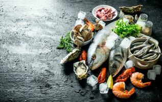 Raw fish with crayfish, shrimp and oysters. photo