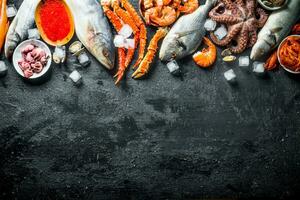 Various seafood with ice cubes. photo