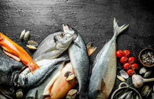 Raw fish with spices, tomatoes and oysters. photo