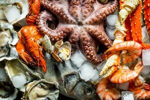 Various seafood with ice cubes. photo