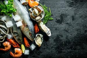 crudo pescado con cangrejo de río, camarón y ostras. foto