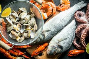 Oysters in colander, crab, crayfish, big octopus and shrimp. photo