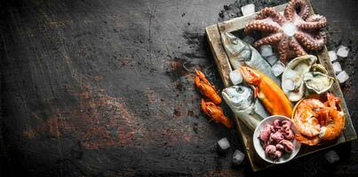 Delicious fresh seafood on a wooden tray with ice. photo