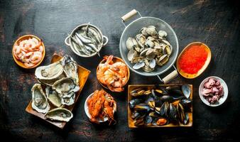 The range of different types of seafood. photo