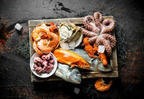 Delicious fresh seafood on a wooden tray with ice. photo