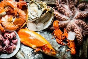 A variety of fresh seafood with ice cubes. photo