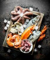 Delicious fresh seafood on a wooden tray with ice. photo
