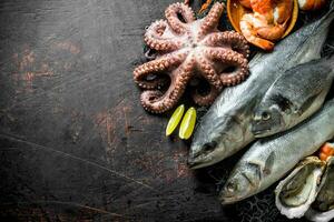 Various seafood with slices of lime. photo