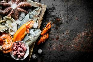 Assortment of different seafood on tray with ice cubes. photo