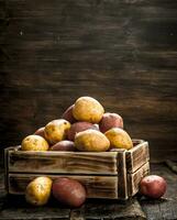 Fresh potatoes in a wooden box. photo