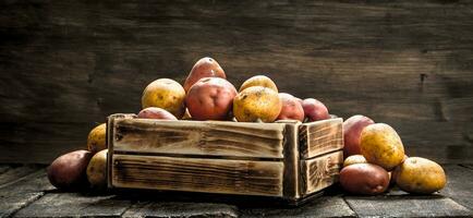 Fresh potatoes in a wooden box. photo