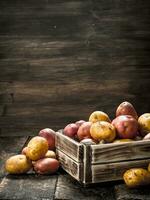 Fresh potatoes in a wooden box. photo