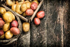 Fresco patatas en un de madera caja. foto