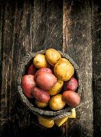 Fresco patatas en un de madera balde. foto